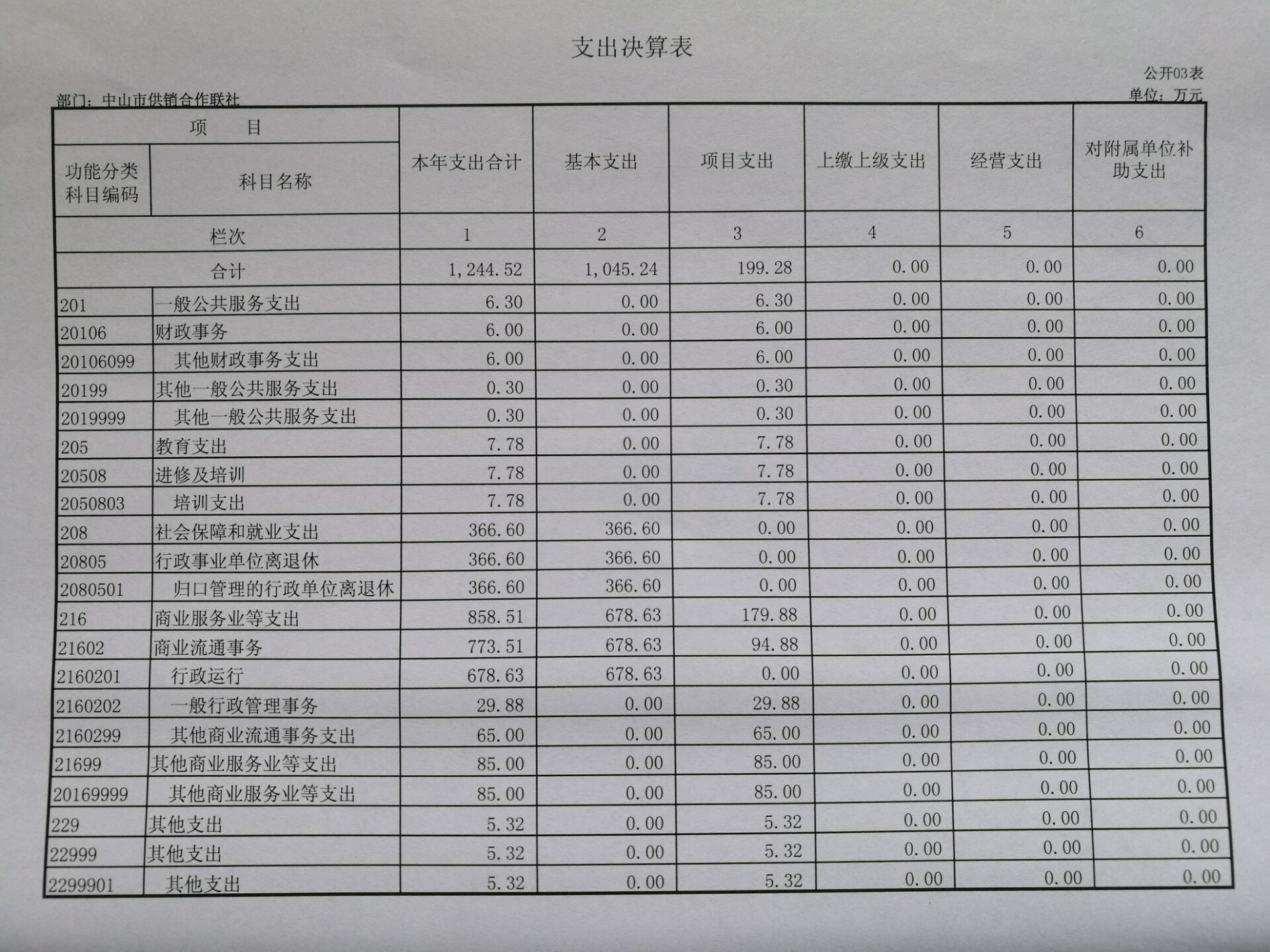 支出决算表
