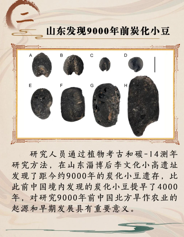 幸运时时彩
